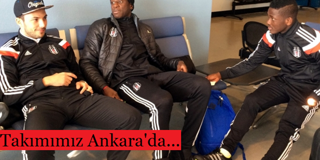 Ankara'nın Bağları...