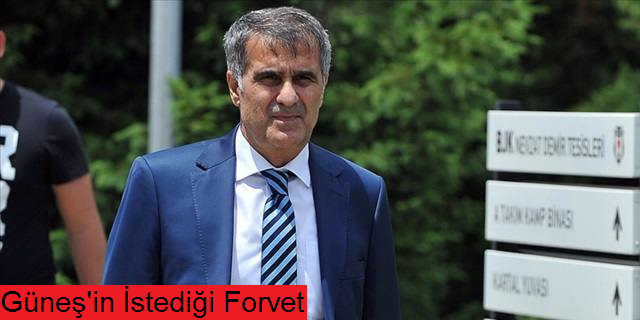 Şenol Güneş istediği forveti açıkladı