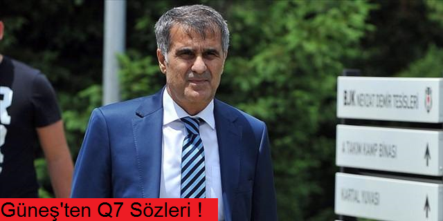 Şenol Güneş'ten Quaresma ve Persie açıklaması!