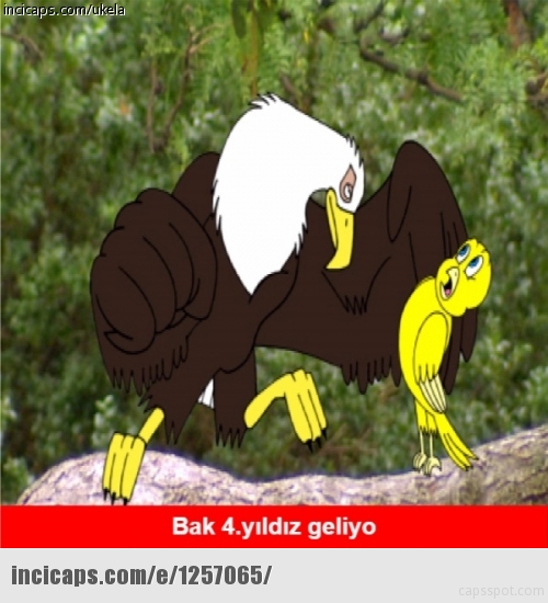 ŞAMPİYON BEŞİKTAŞ CAPSLERİ 