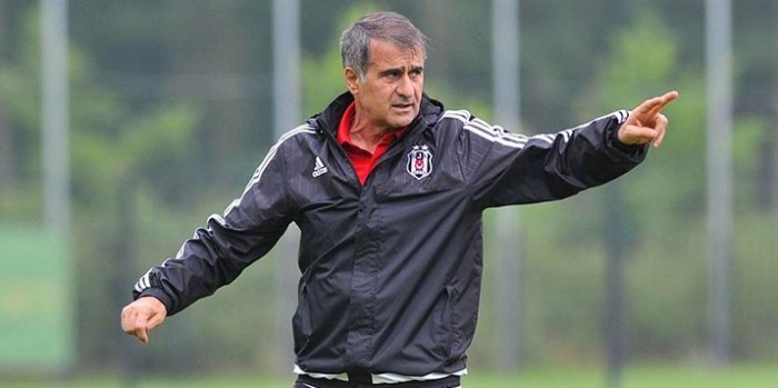 Şenol Güneş : Hepsi Gönderilsin