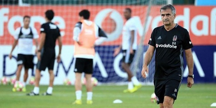 Güneş'ten organik hamle