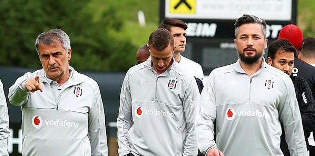 Mansız Dabbur’a hayran kaldı