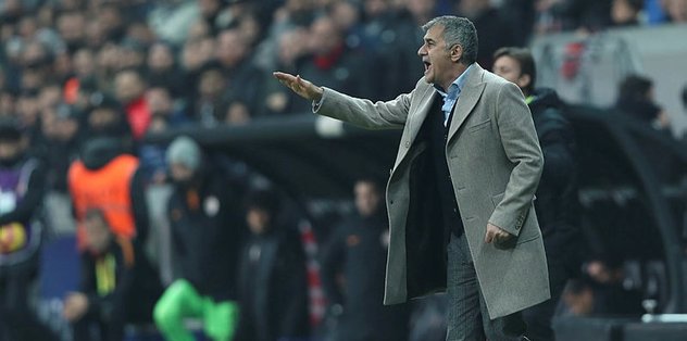 Şenol Güneş: Kartal sinek avlamaz