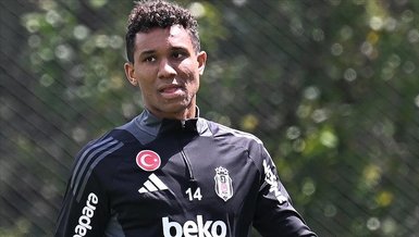 Alman Stoper Ülkesine Dönmeye Hazırlanıyor